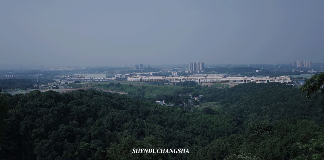 长沙旅游攻略必玩的十大景点介绍,长沙适合秋季打卡的景点