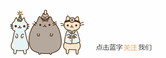 猫咪总是拉屎在地上怎么办,猫咪总是在一个地方乱拉屎怎么办