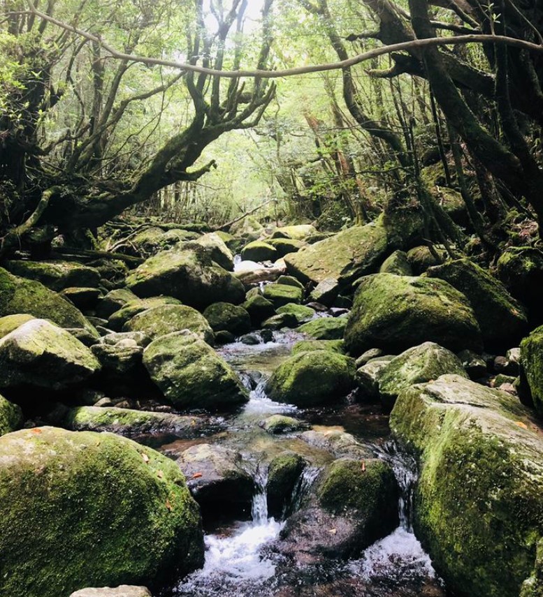 cnn评选出的日本最美的31个景点,cnn评选世界十大旅游地