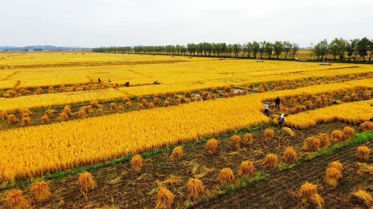 中国美食世界排名第一,中国美食世界第一名