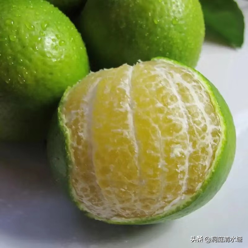 比蜂蜜还甜的柑橘,广西酸酸甜甜好剥皮的柑橘