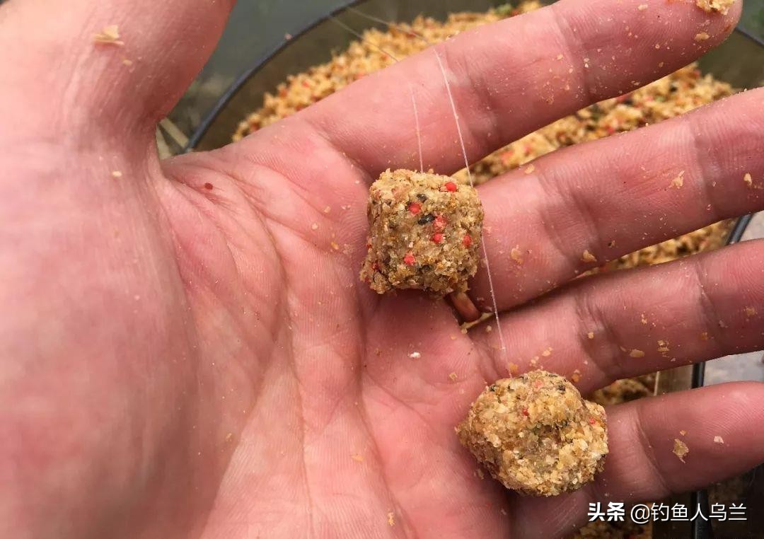 鲤鱼怎么钓用什么饵料最好,鲤鱼太难钓了