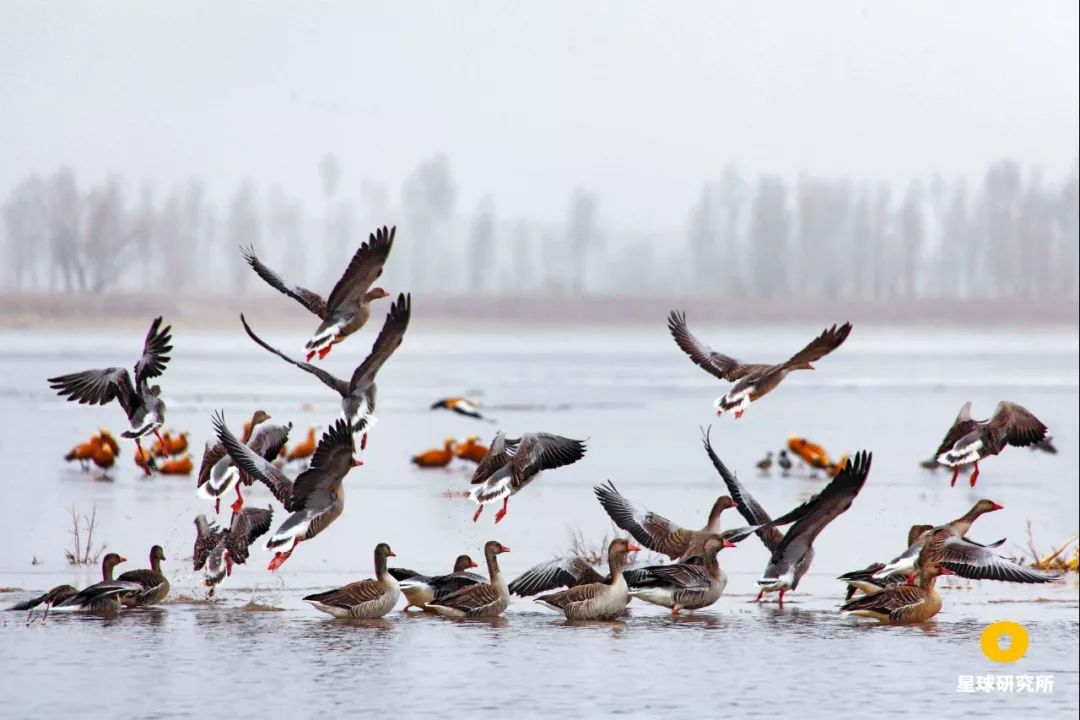 甘肃张掖祁连山风光,甘肃张掖十大美景