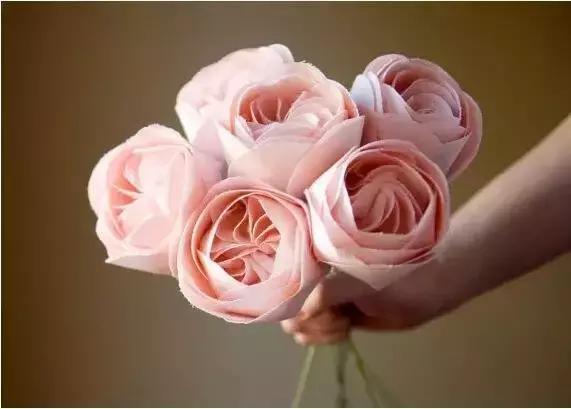 天价名贵药材,最贵的植物排行榜前十名