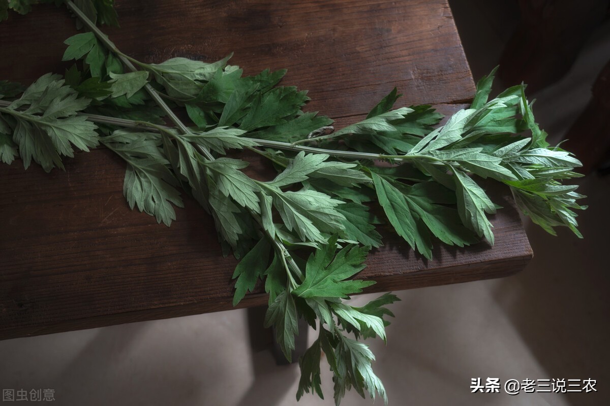 端午节的由来和习俗要插艾草么,端午节五大禁忌意义