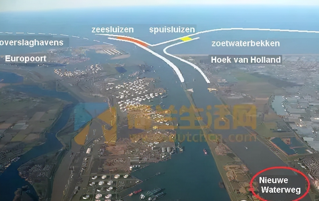 比利时大闸蟹泛滥怎么回事,来聊聊野生海鲜