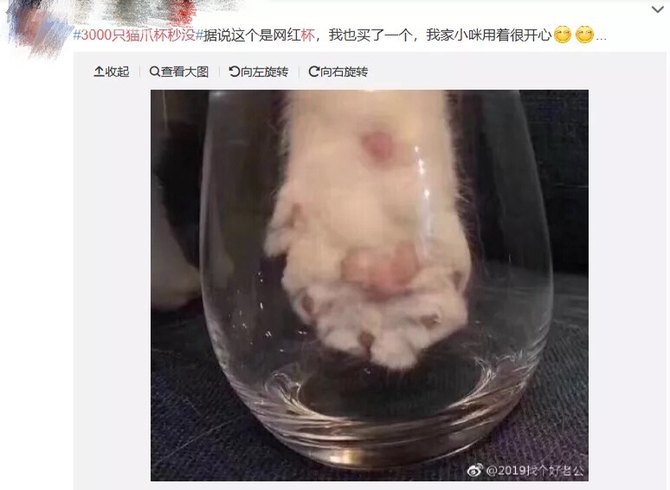 猫爪杯真的很贵吗,猫爪杯杯子价格