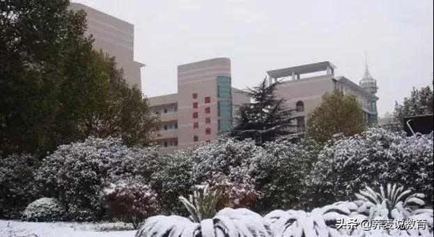 武汉排名前十的初中和高中,武汉各区初高中排名