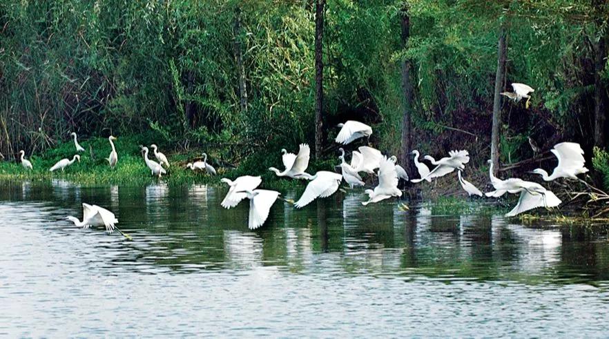 宿迁定居的优缺点,宿迁居住环境