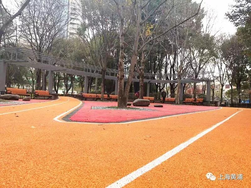 民生实事｜健身、益智、休闲……黄浦居民家门口的健身苑点“老少通吃”