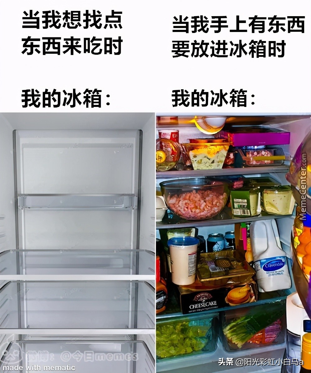 李英爱学腹语,2015韩国小姐李英爱腹语视频