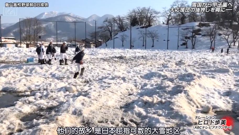 日本夏季甲子园停办,甲子园大哭