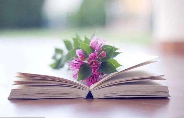 愿一切美好都不期而遇早安图片,早安总有不期而遇的意外惊喜