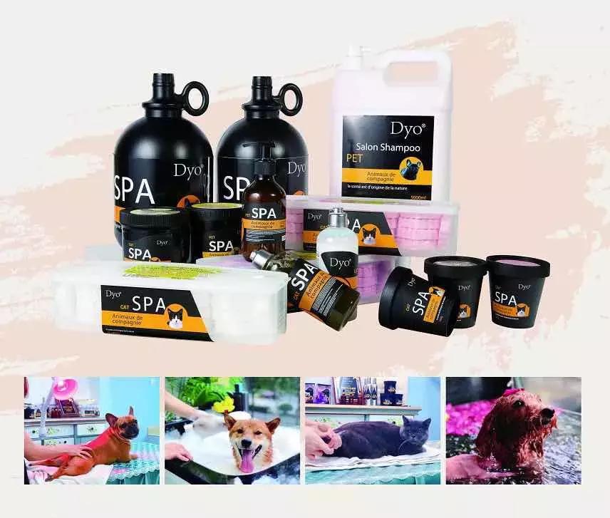 宠物店如何一年内赚到100万,宠物店如何业绩翻倍