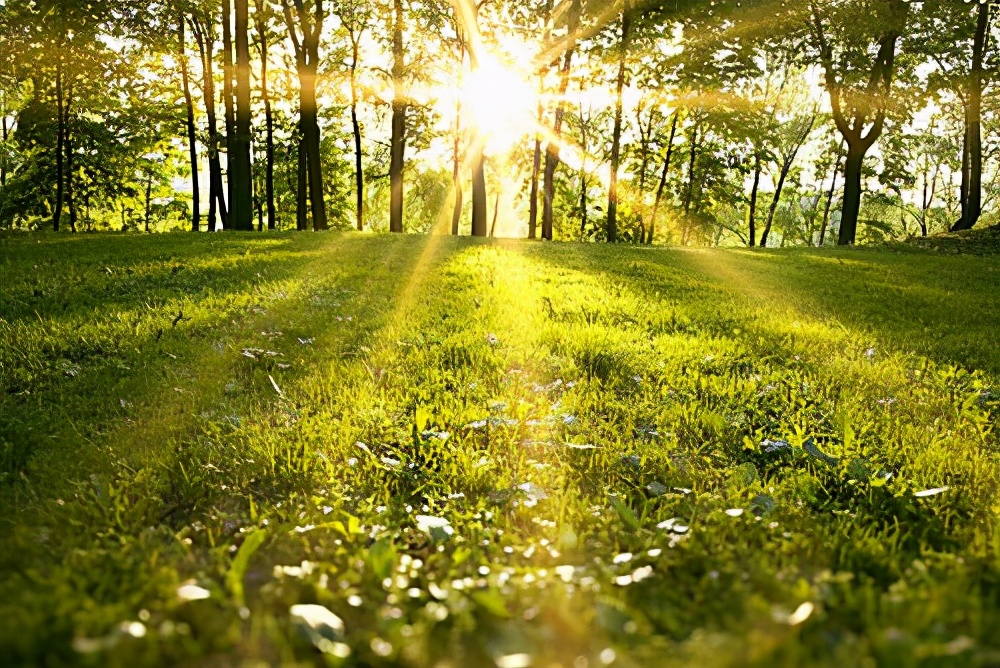 加拿大新移民过渡期的工作选择