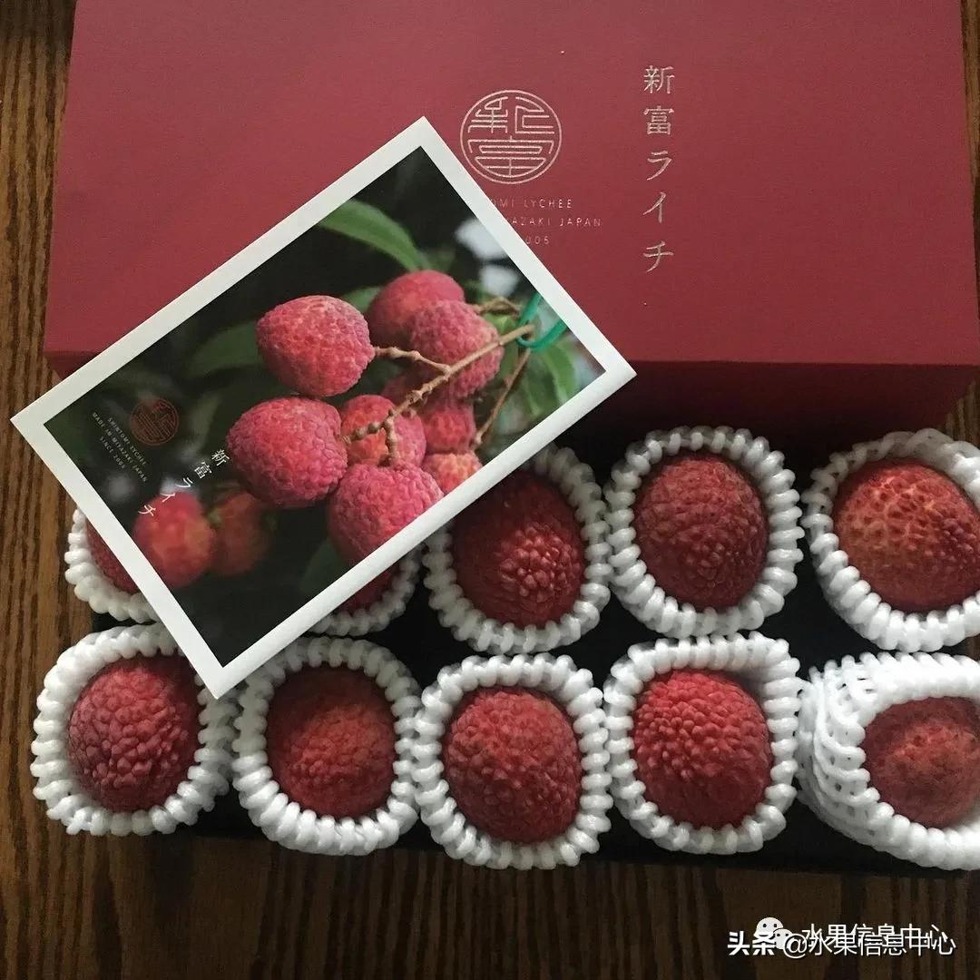 日本农业发达到什么程度?荔枝、香蕉、菠萝竟然用温室来种