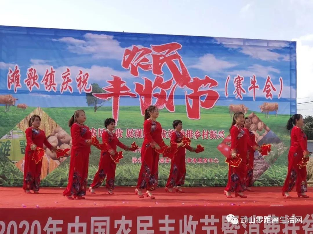 滩歌镇2020年中国农民丰收节暨消费扶贫月启动