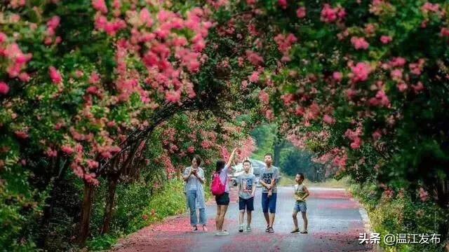 温江区十四五规划要做的十件大事,干大事