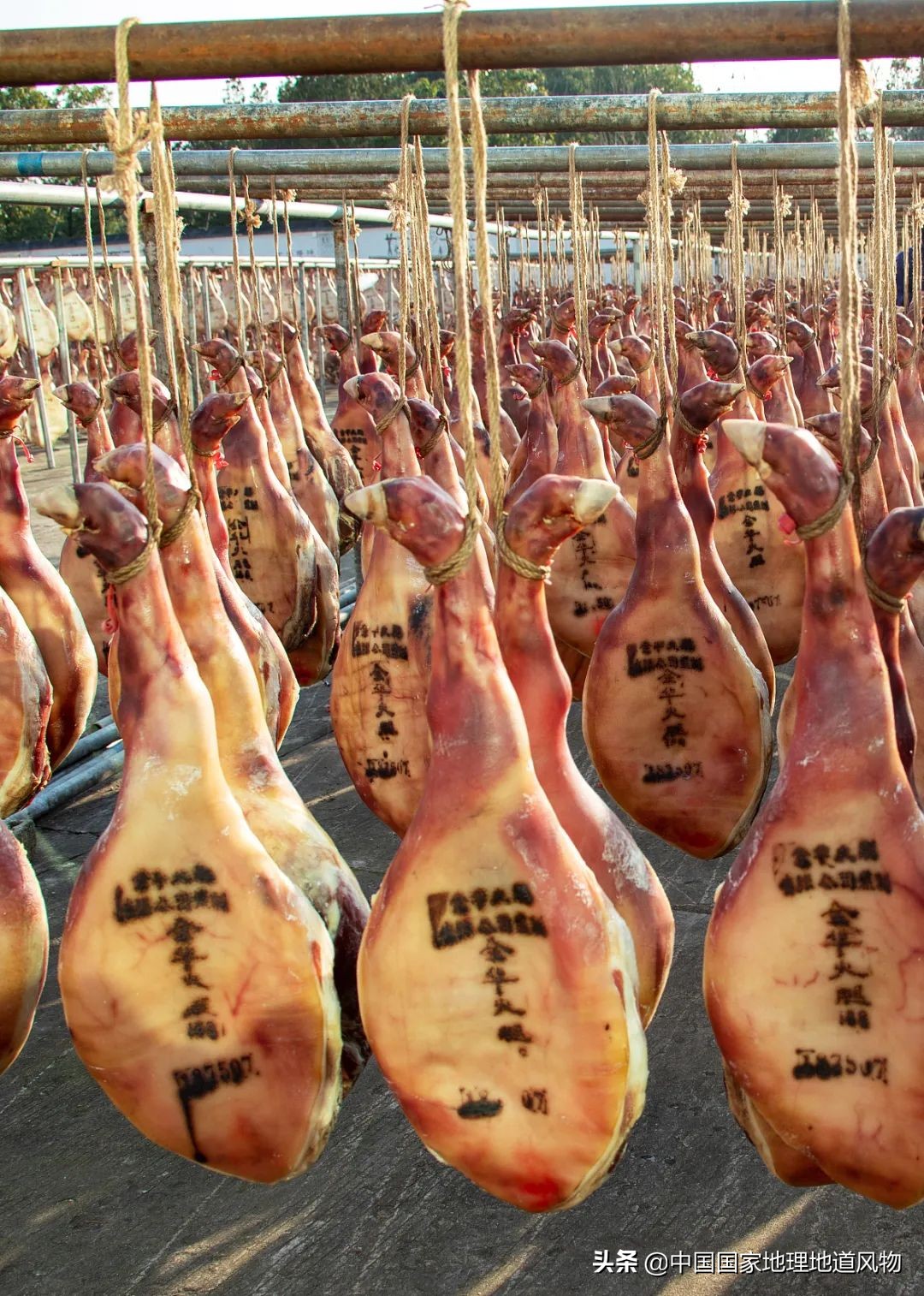 浙江金华在省内地位,浙江金华属几线城市