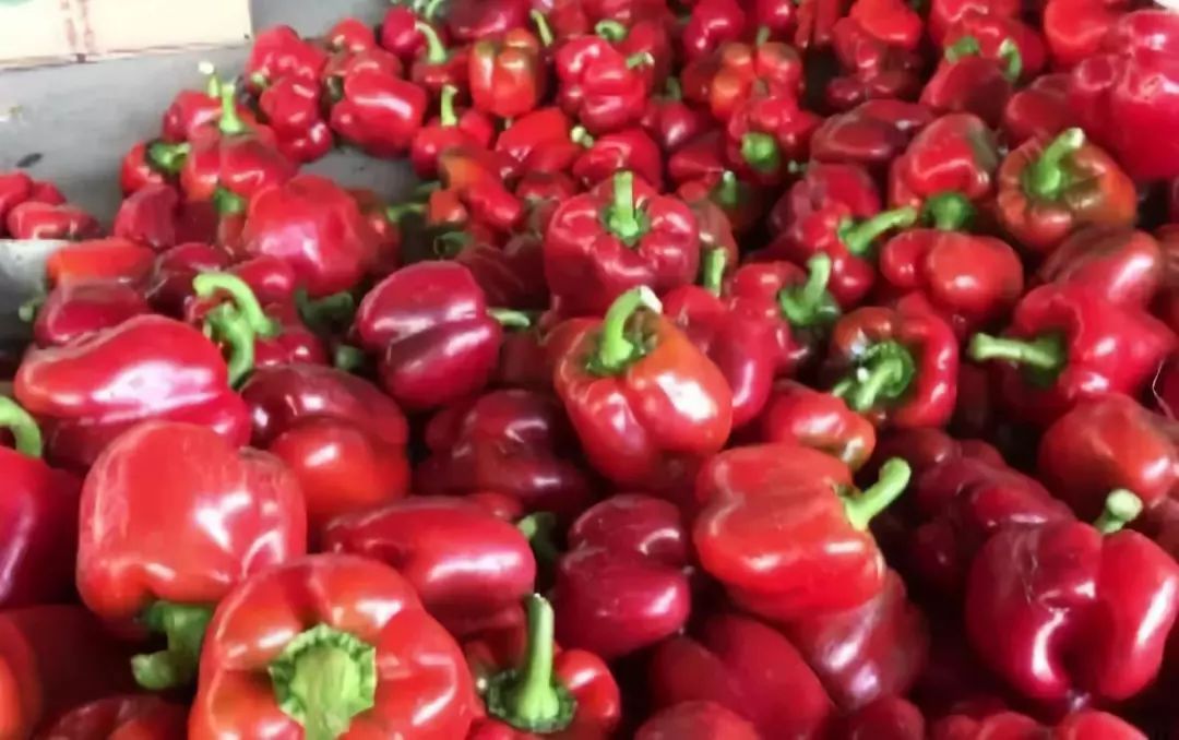 谁认识李翠花和王文忠！这俩寿光人做了这种事情之后竟然……