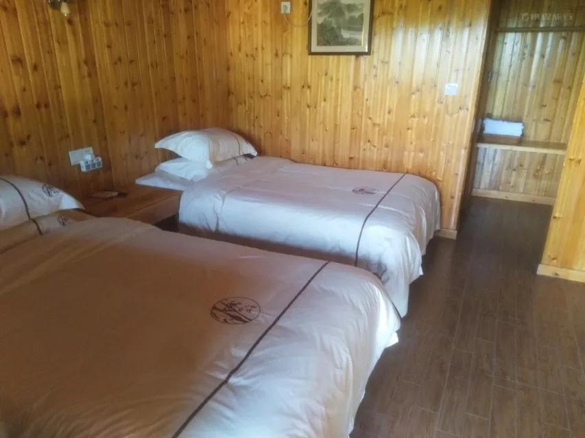 带着狗子旅行推荐,带着狗狗游新疆