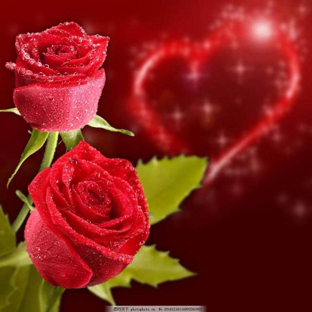 为别人开一朵花的意思,为他人开一朵花摘抄