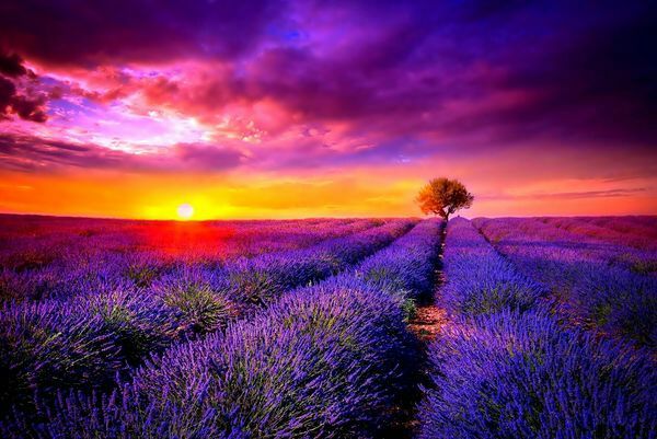 *疆新**是个好地方作者:刘尊鑫