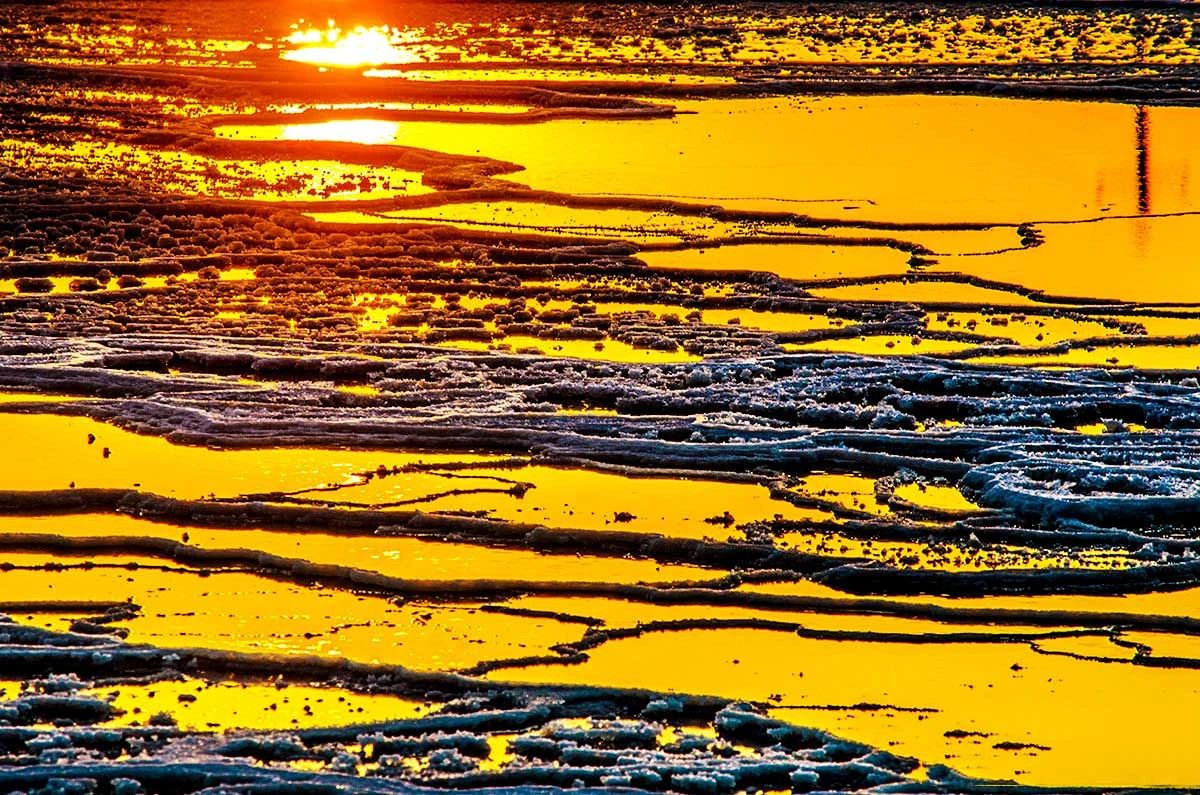 冬季的庭院景观,美丽如画的自然景观让人心旷神怡