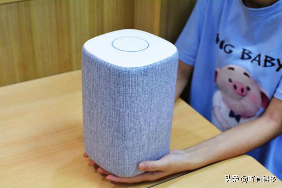 小米小爱音箱499,小米小爱音箱229音质