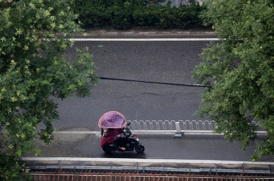 现在哪里天气暖又不下雨,热热热广东天气
