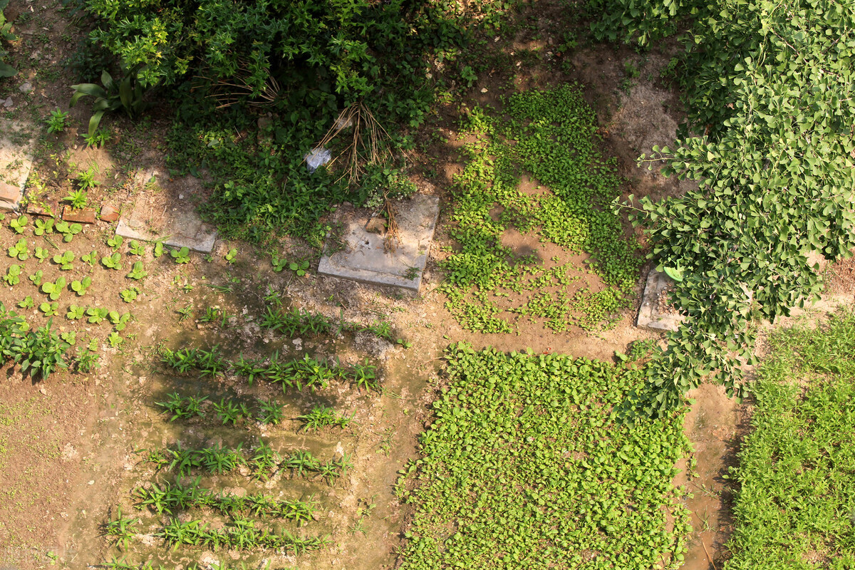 农村田地被征收是按户口补偿吗,空白自留地征收补偿多少钱