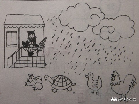 一二年级语文看图写话50篇含范文,看图写话必考一二年级范文和图