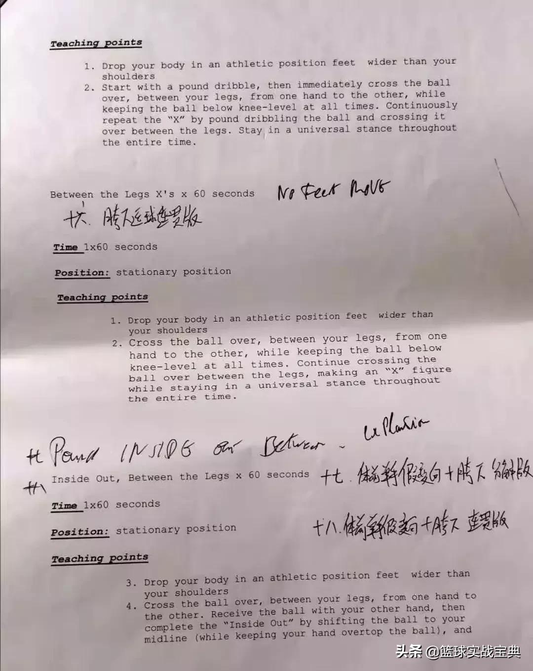 消灭小黑飞最高效最彻底的方法,消灭篮球小白