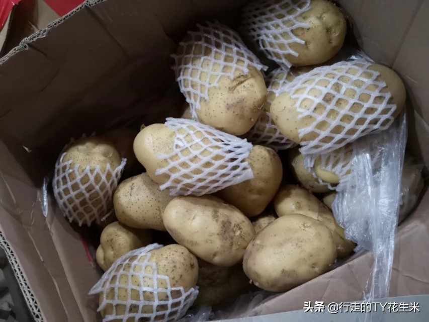 昨天西安欣桥蔬菜价格,西安欣桥蔬菜批发市场装卸工