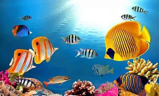 开封海洋馆门票70岁免费吗,开封海洋馆门票20元2019