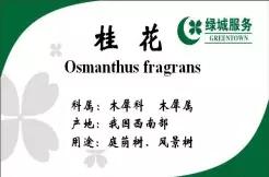 绿城物业服务特色亮点,绿城物业服务四大标准