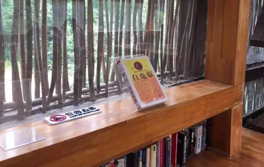 只去书店但不看书的意义,只有不读书干什么都是快乐的