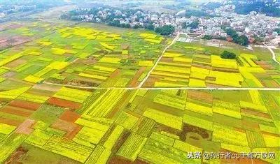 于都哪个乡镇最大，哪个最小、哪个最有人气？