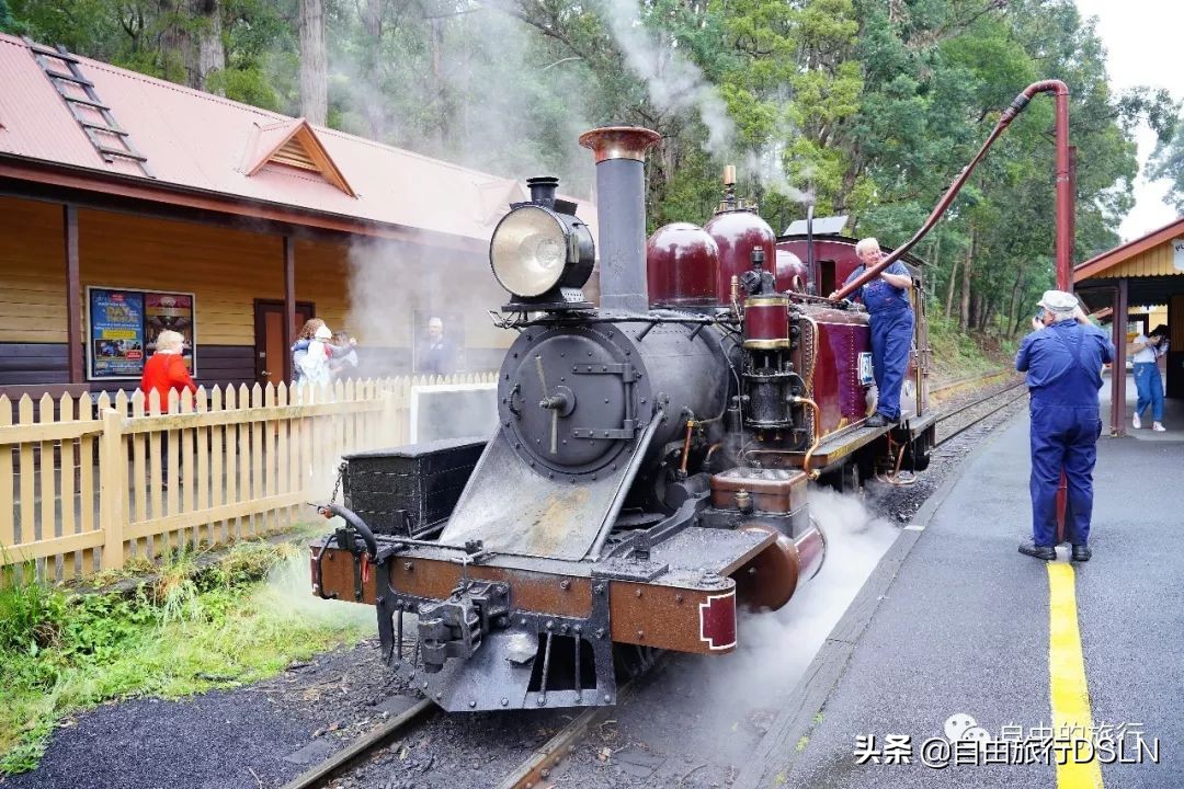 土澳,土澳新闻视频