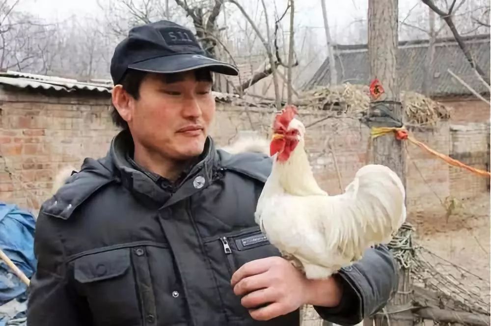 草根在天堂网红在地狱:流浪大师暴富,朱之文遭勒索,庞麦郎遗忘