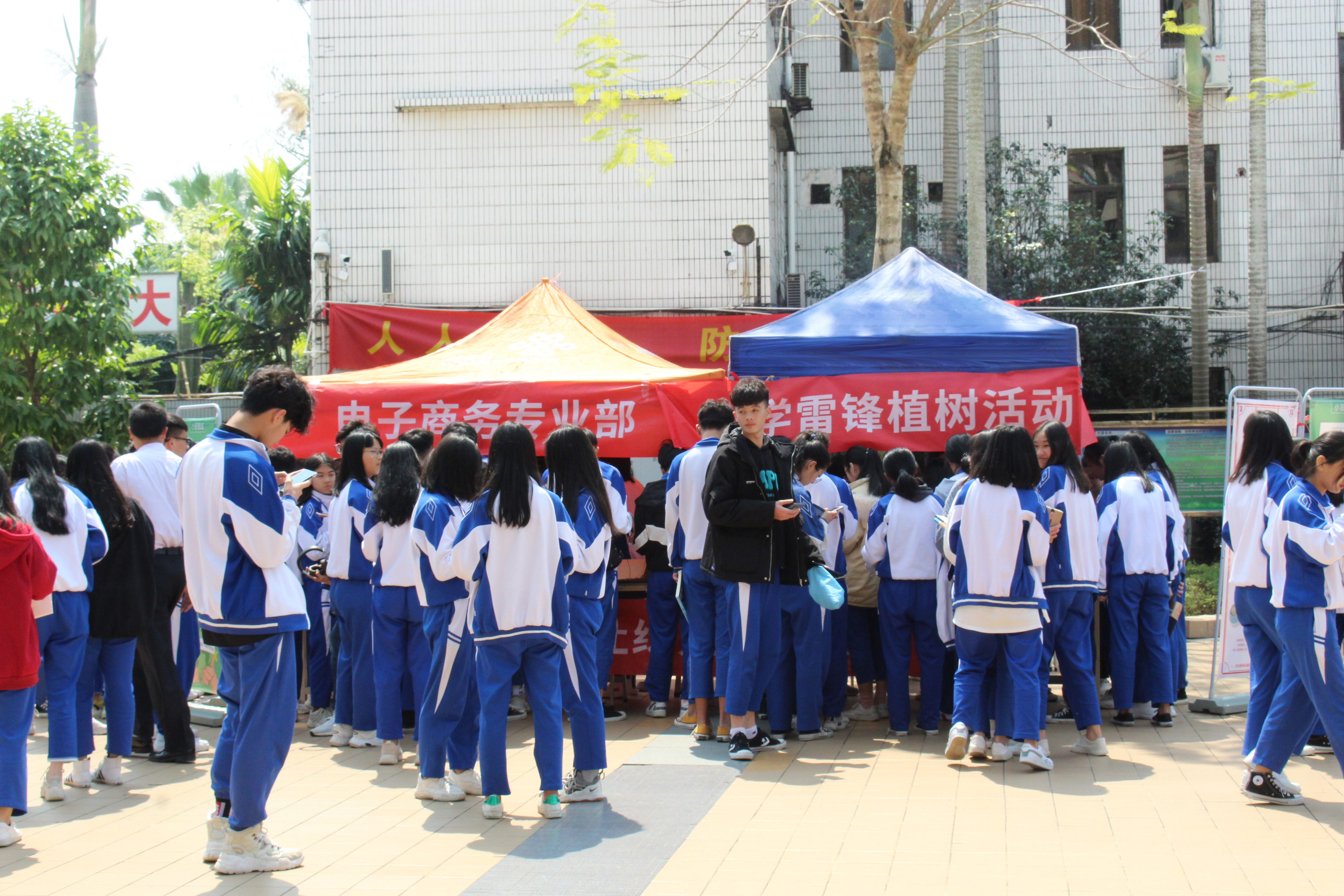 植树节，小贸商城让绿意“贸”出来