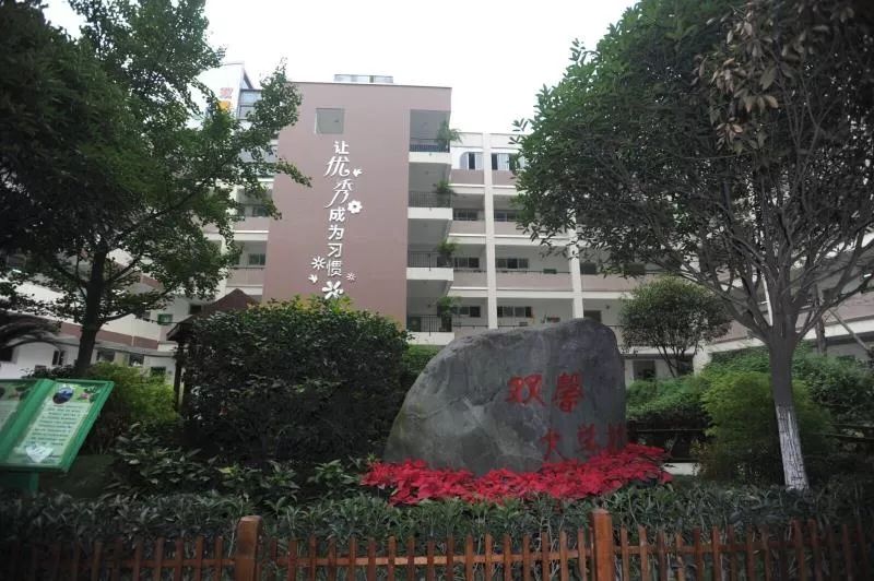 成华区好的小学公立,成华区最差的十所小学