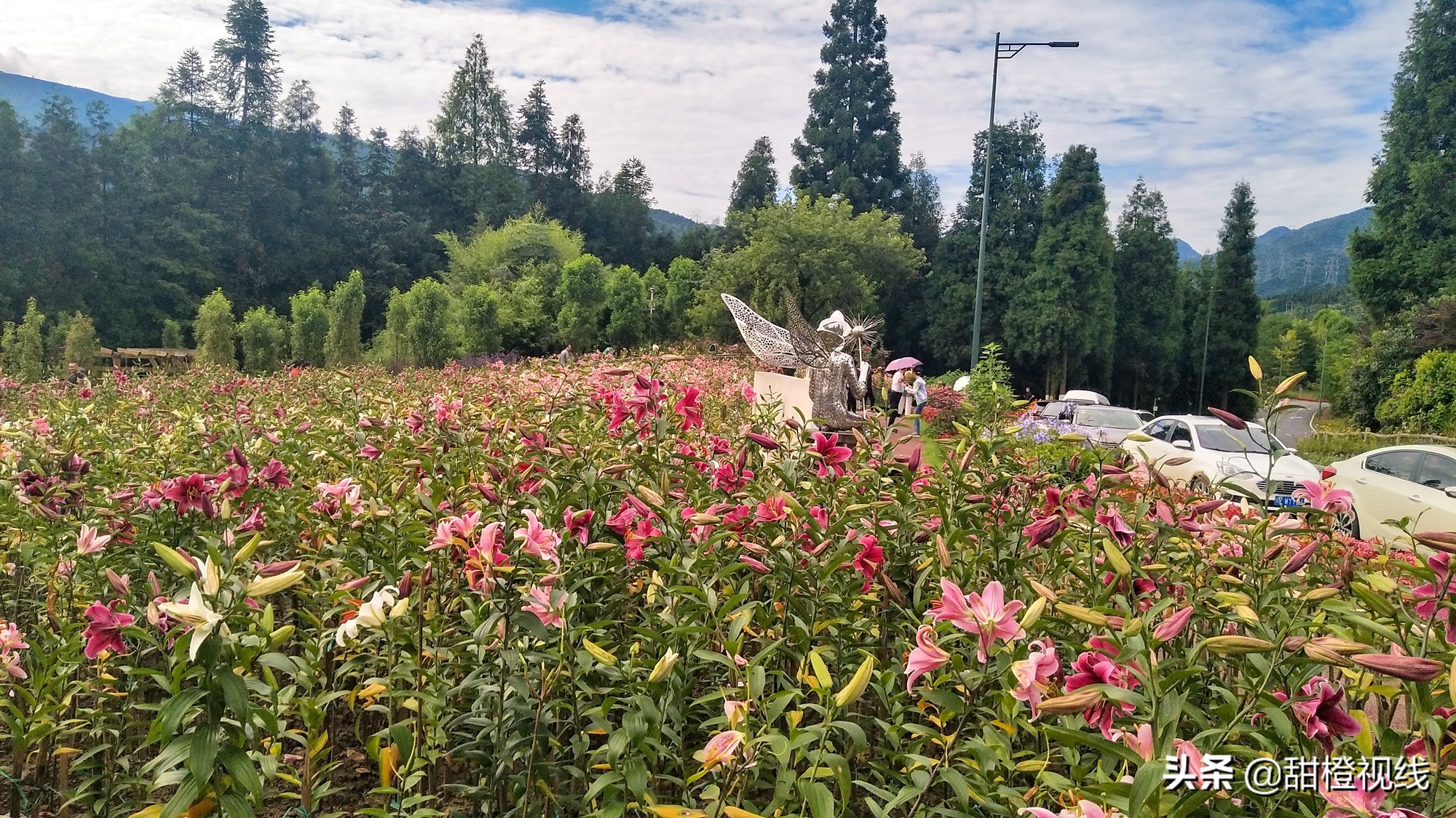 峨眉山七里坪周边旅游攻略,七里坪远看峨眉山金顶