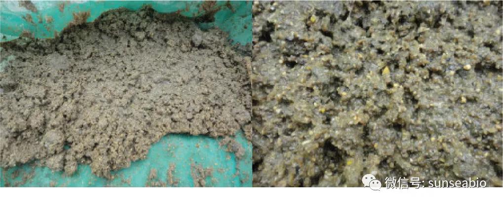 优福康Ⅰ进口微生态制剂——护肠道、节能减排、降氨气除臭