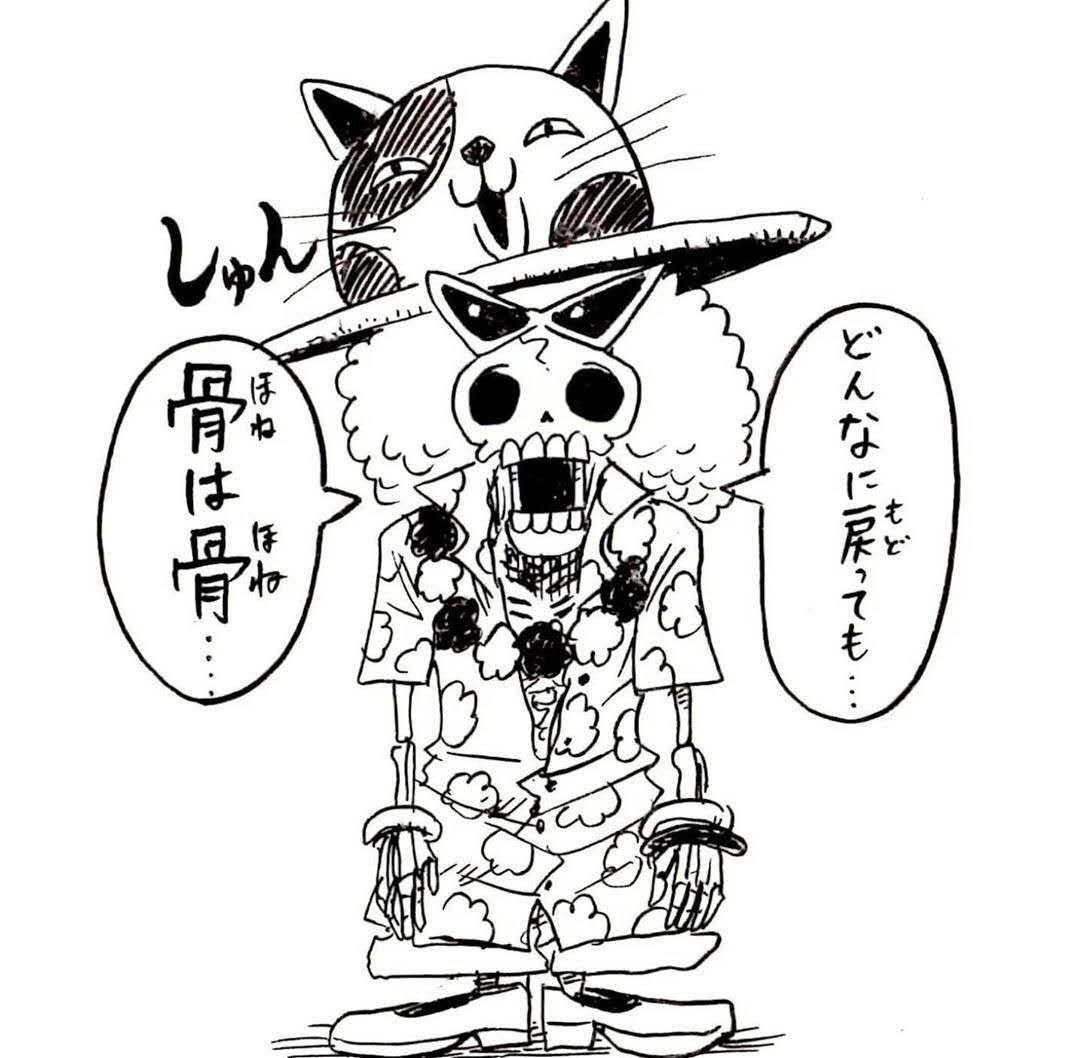 草帽团所有成员老了的样子,草帽团全部战死布鲁克靠果实存活