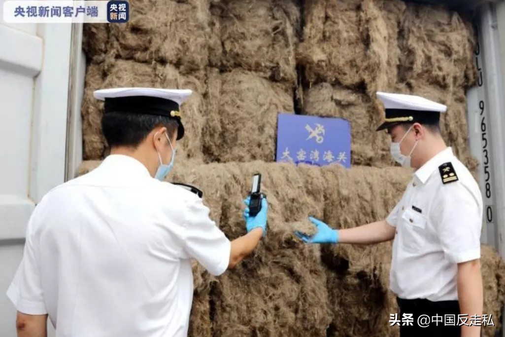 中国海关缉私案件2020,国门利剑2019十大案件