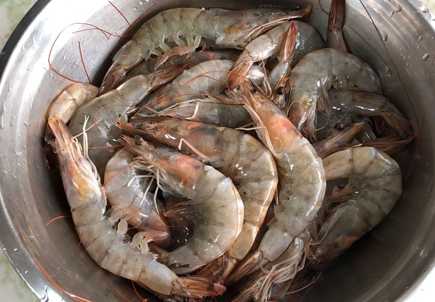 吃虾要不要去虾线,渔民吃大虾去虾线吗