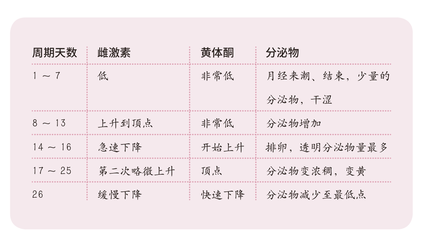 阴道分泌物,你一直被困扰的难题