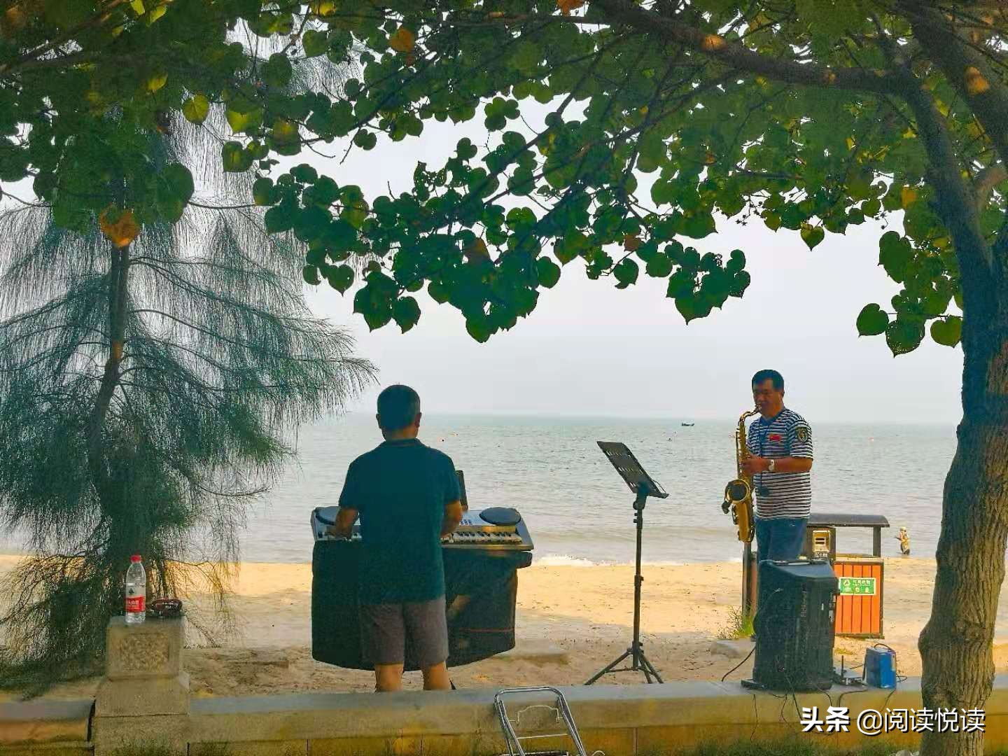 海南三月春天景色,海南三月春天