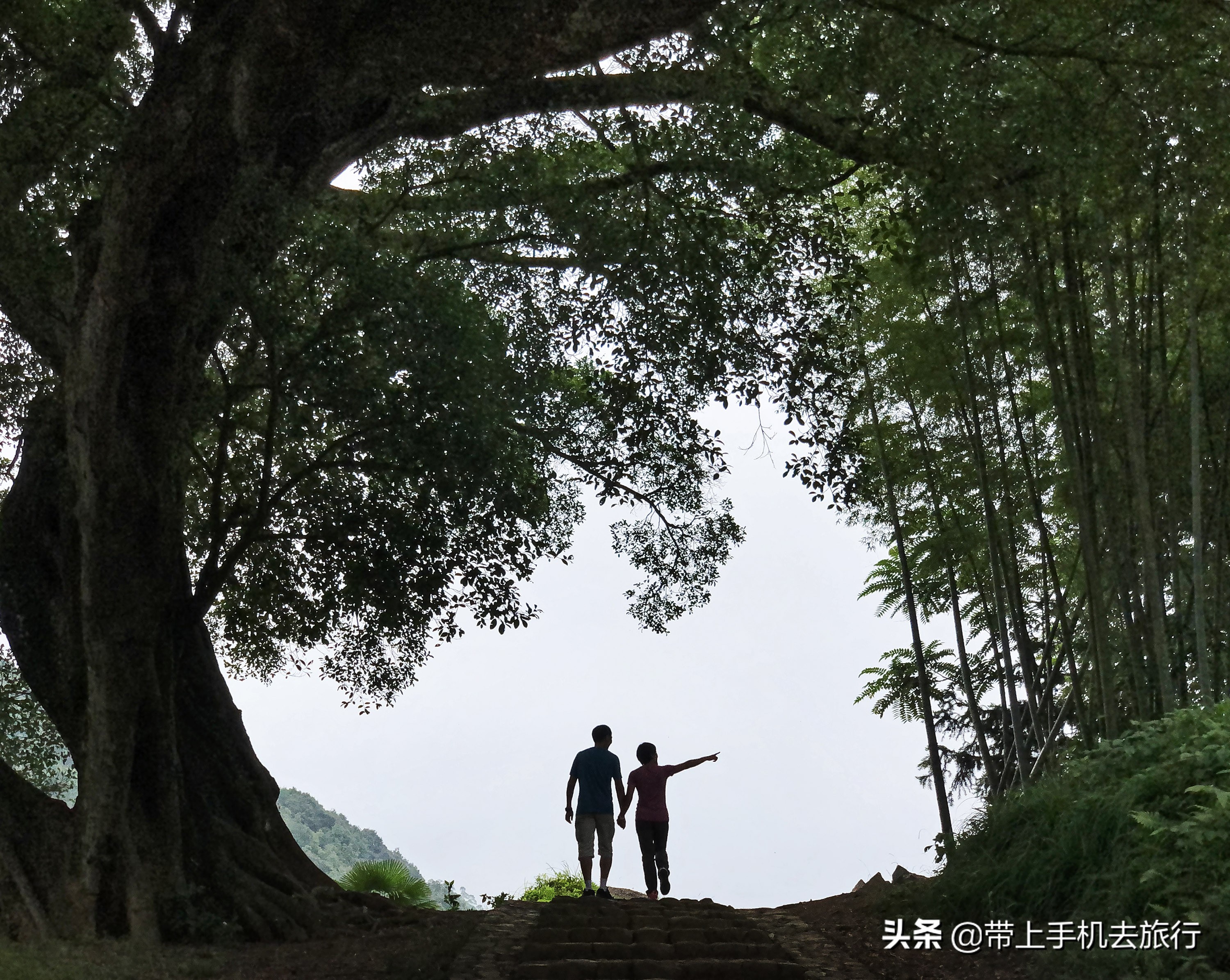 “减法”、虚化和“加法”,让画面瞬间干净简洁唯美